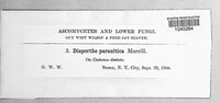 Image Associated With the Occurence
